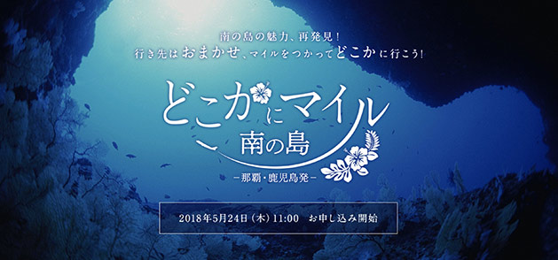 どこかにマルイ南の島